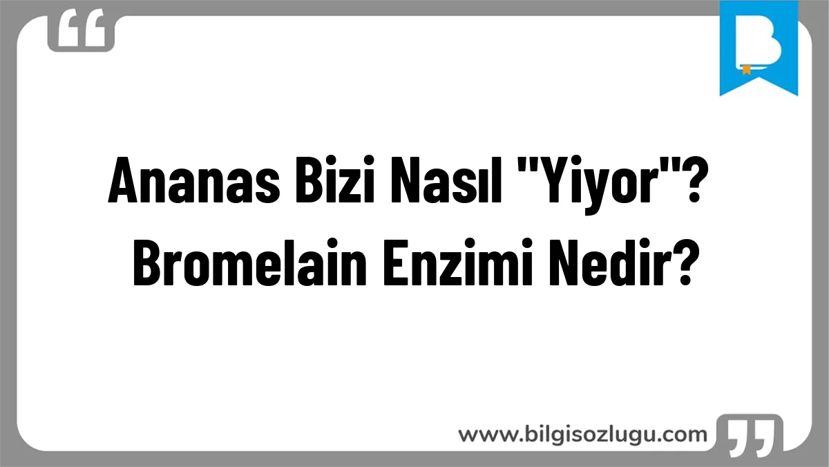Ananas Bizi Nasıl 